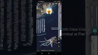 Menyeramkan Penampakan Monster laut Kraken di google earth #shorts