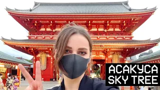 ОГРОМНЫЙ Храм + Tokyo Skytree 🇯🇵【JAPAN STREAM】2022