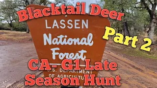 3 bucks take a dirt NAP! 2021 G1 Late Season Hunt. CA. Blacktail Deer