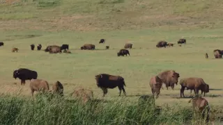 [Patagonia Korea] Unbroken Ground Trailer