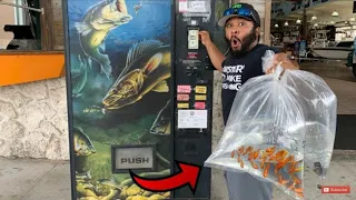 BUYING AQUARIUM Fish FROM A VENDING MACHINE! (WORLD'S FIRST)