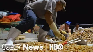 American Workers Are Learning That Shrimpin’ Ain’t Easy (HBO)