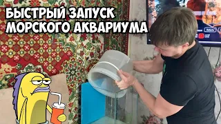 Как быстро, просто и не дорого запустить морской аквариум! 😉