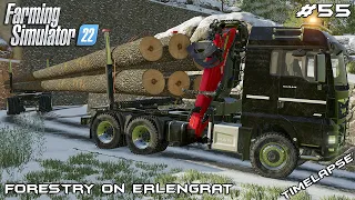 Transporting 30m logs through BIG TURNS | Forestry on ERLENGRAT | Farming Simulator 22 | Episode 55