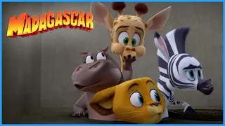 Escape mission | DreamWorks Madagascar