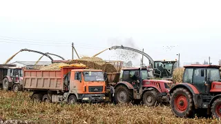 SILAGE PREPARATION - 4x harvesters / 10x tractors / 2 trucks