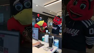 Tommy Hawk Promises To Be Behave!!! But... #funny 👀👀👀