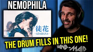 MUSIC DIRECTOR REACTS | NEMOPHILA / 徒花 -ADABANA- [Official Music Video]