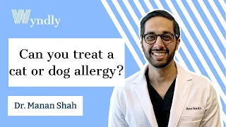 How to treat a cat or dog allergy