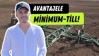 Minimum tillage: 8 tone la grâu, peste 5 tone la porumb într-un an secetos