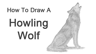 How to Draw a Wolf Howling