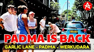 PADMA IS BACK || Garlic Lane Legian and Padma Bali update