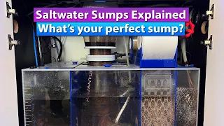 Saltwater Aquarium Sump explained  - What's your perfect sump?