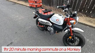 2023 Honda Monkey Morning Commute 101mile Round Trip **Wind Noise** Raw Sound