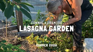 Building a Lasagna Garden