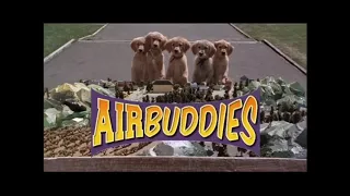 Airbuddies trailer reversed