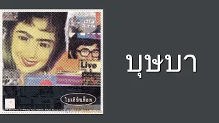 โมเดิร์นด็อก - บุษบา  (พ.ศ.2537)