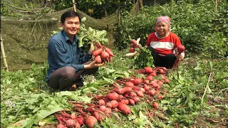 Harvesting red radishes with my mother. Robert | Green forest life