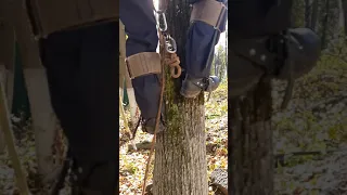 Как гаффы втыкаются в дерево?
