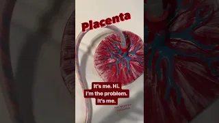 #placenta #preeclampsia #gestationaldiabetes Placentas are amazing & also cause so many problems!