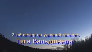 2 ой вечер на удачной поляне на тяге Вальдшнепа