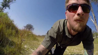 Elephant and calf walking over my GoPro