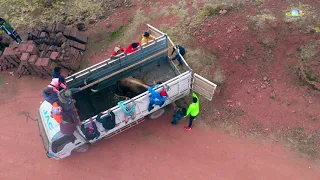 QARADA DE TORO EN CCOLLPACCASA - YAULI - HUANCAVELICA   2021 ✅