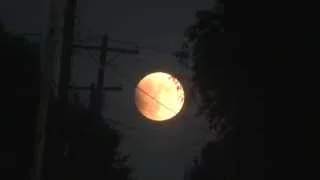 Bad Moon Rising - Creedence Clearwater Revival "Music Video"