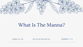 What Is The Manna?