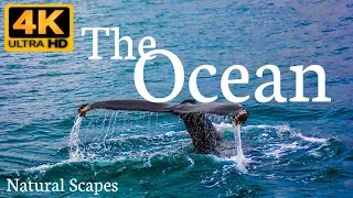 The Ocean 4k - Natural Scapes Film With Calming Music.