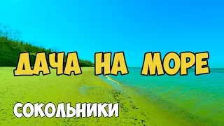 Дача у моря, Калининградская область, Сокольники, балтийское море, переезд в Калининград