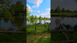 Adams Pond Richmond Park England #richmondpark #england