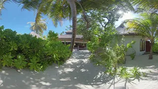 Beach Chill Out under Palms 8k VR 360 stereo