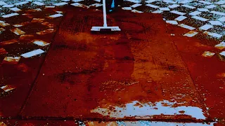 Amazing Transformation Of a Carpet | Rug Cleaning Satisfying | Carpet Washing | asmr video
