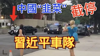 一個中國韭菜,和習近平的車隊發生了“碰撞”, 會如何收場? 對比中西方平民與公權力發生糾紛後的巨大差異！