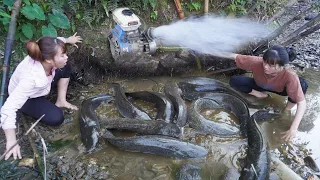 Most Amazing Wild Fishing, Unique Exciting Catch Many Fish With A Large Pump Sucks Water Out Of Lake