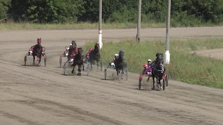 Раменский ипподром 18.08.2018 - КУБОК РОССИИ - 1 гит