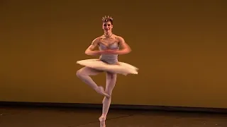 International ballet stars perform ‘Dance for Ukraine’