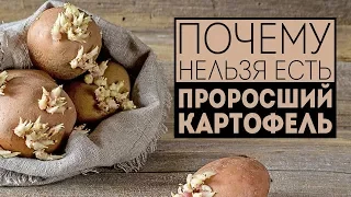 Почему нельзя есть проросший картофель