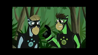 Florida Panther Full Wild Kratt