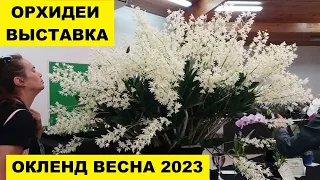 ВЫСТАВКА ОРХИДЕЙ В ОКЛЕНДЕ..ВЕСНА..СЕНТЯБРЬ 2023