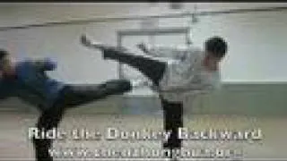 San Shou Applications of Chen Style Taijiquan Practical Meth