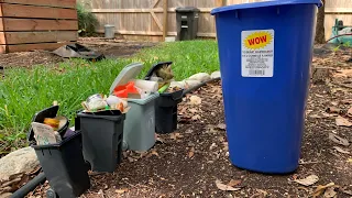 Dumping Overloaded Mini Bins