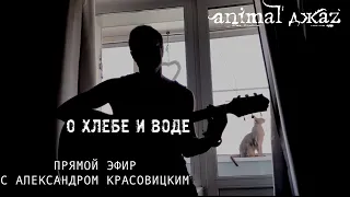 Прямой эфир с Александром Красовицким 01.06.2020