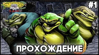 Battletoads Double Dragon: The Revenge (v.9) - Anniversary Edition OpenBor - Прохождение #1