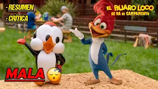 EL PÁJARO LOCO 2 SE VA DE CAMPAMENTO DE NETFLIX (2024) RESUMEN COMPLETO - UNA PELÍCULA MALA