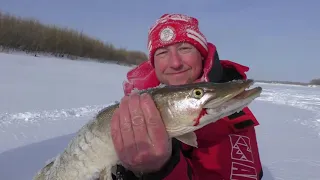 Рыбалка на реке Иртыш в феврале 2021 года.