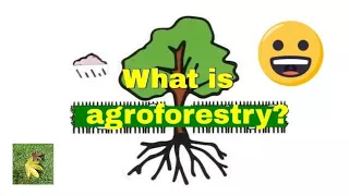 What is #Agroforestry ?