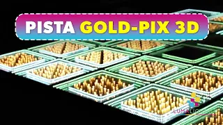 Pista de Baila Iluminada Gold PIX-3D - LUMA Lighting MX