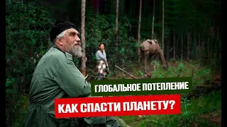 Как бизоны могут спасти нас от глобального потепления? Миссия компании Simple Zoo